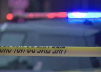 Picture Credit: KOMO News