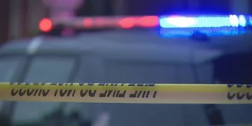 Picture Credit: KOMO News