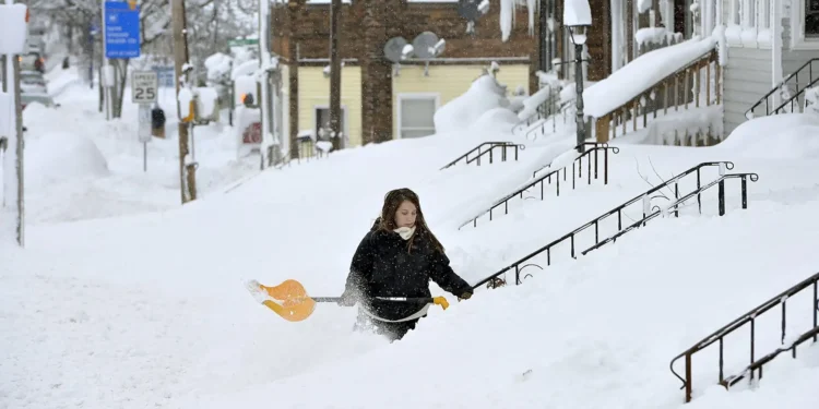 Picture Credit: BW.com