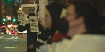 Picture Credit: KOMO News