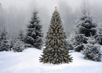 Picture Credit: DeviantArt