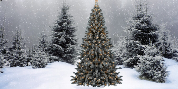 Picture Credit: DeviantArt