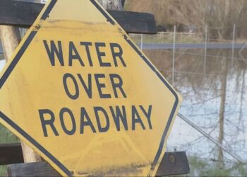 Picture Credit: KIRO 7