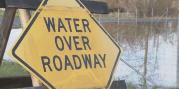 Picture Credit: KIRO 7