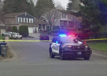 Picture Credit: KING 5 News