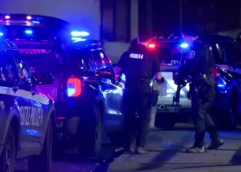 Picture Credit: FOX 13 Seattle