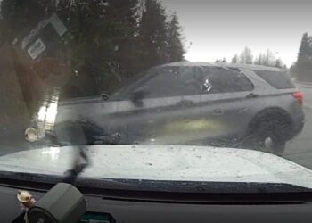 Picture Credit: KOMO News