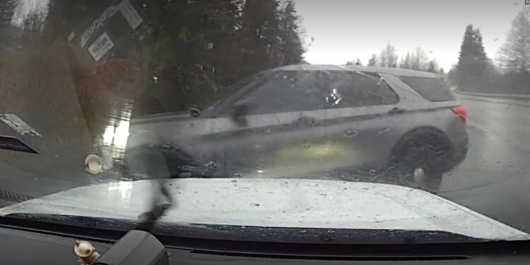 Picture Credit: KOMO News