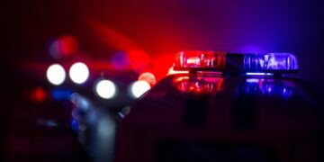 Picture Credit: KING 5 News