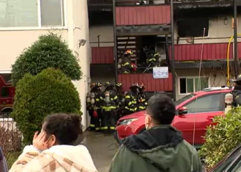 Picture Credit: KOMO News