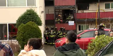 Picture Credit: KOMO News