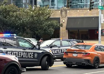 Picture Credit: FOX 13 Seattle