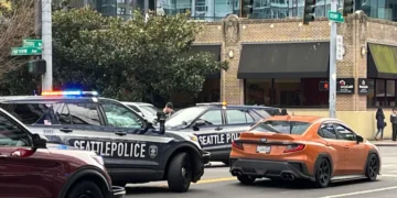 Picture Credit: FOX 13 Seattle