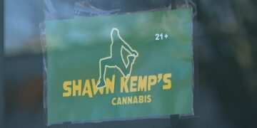 Picture Credit: KOMO News