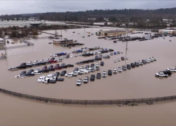 Picture Credit: KOMO News