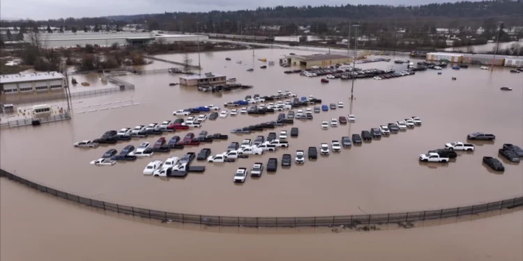 Picture Credit: KOMO News