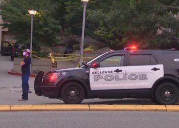 Picture Credit: KING 5 News