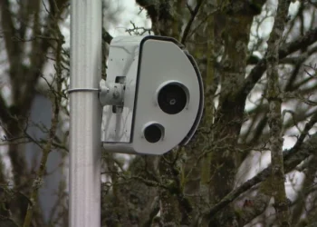 Picture Credit: Reddit