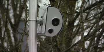 Picture Credit: Reddit