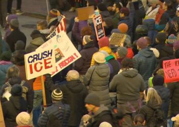 Picture Credit: KING 5 News