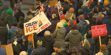 Picture Credit: KING 5 News