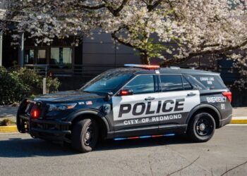 Picture Credit: Redmond.gov