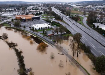 Picture Credit: The Seattle Times