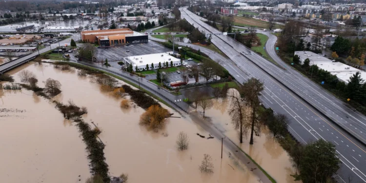 Picture Credit: The Seattle Times