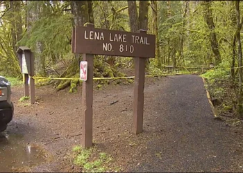 Picture Credit: KOMO News