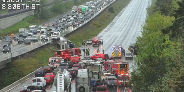 Picture Credit: KOMO News