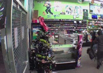 Picture Credit: KING 5 News