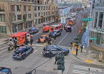 Picture Credit: KOMO News