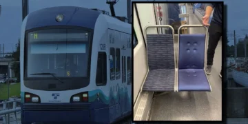 Picture Credit: FOX 13 Seattle