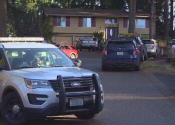 Picture Credit: KOMO News