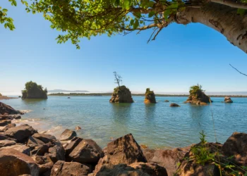 Picture Credit: KOIN.com