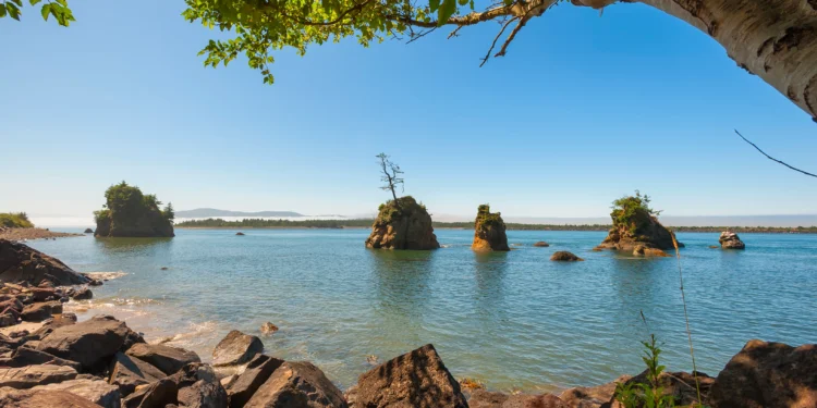 Picture Credit: KOIN.com