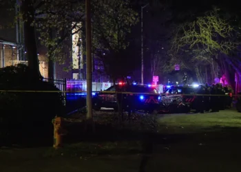 Picture Credit: FOX 13 Seattle