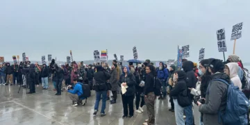 Picture Credit: KOMO News