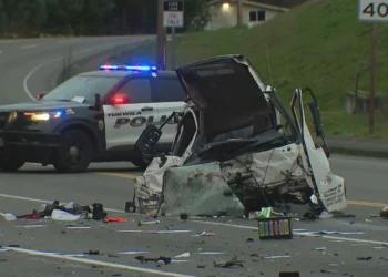 Picture Credit: KOMO News