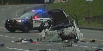 Picture Credit: KOMO News