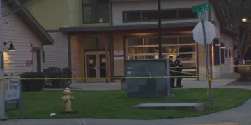 Picture Credit: KOMO News