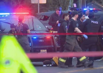 Picture Credit: KOMO News