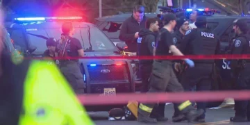 Picture Credit: KOMO News