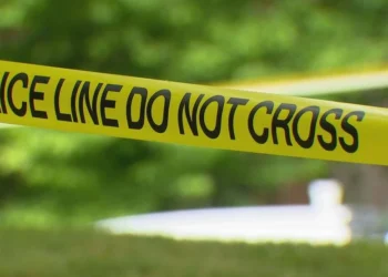 Picture Credit: KOMO News