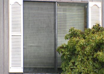 Picture Credit: KOMO News