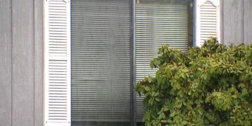 Picture Credit: KOMO News