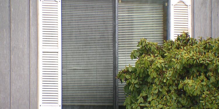 Picture Credit: KOMO News