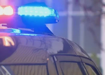 Picture Credit: KOMO News