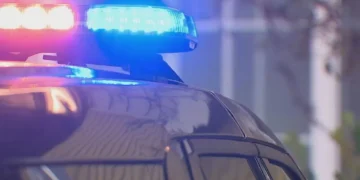 Picture Credit: KOMO News