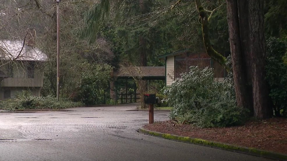 Picture Credit: KOMO News